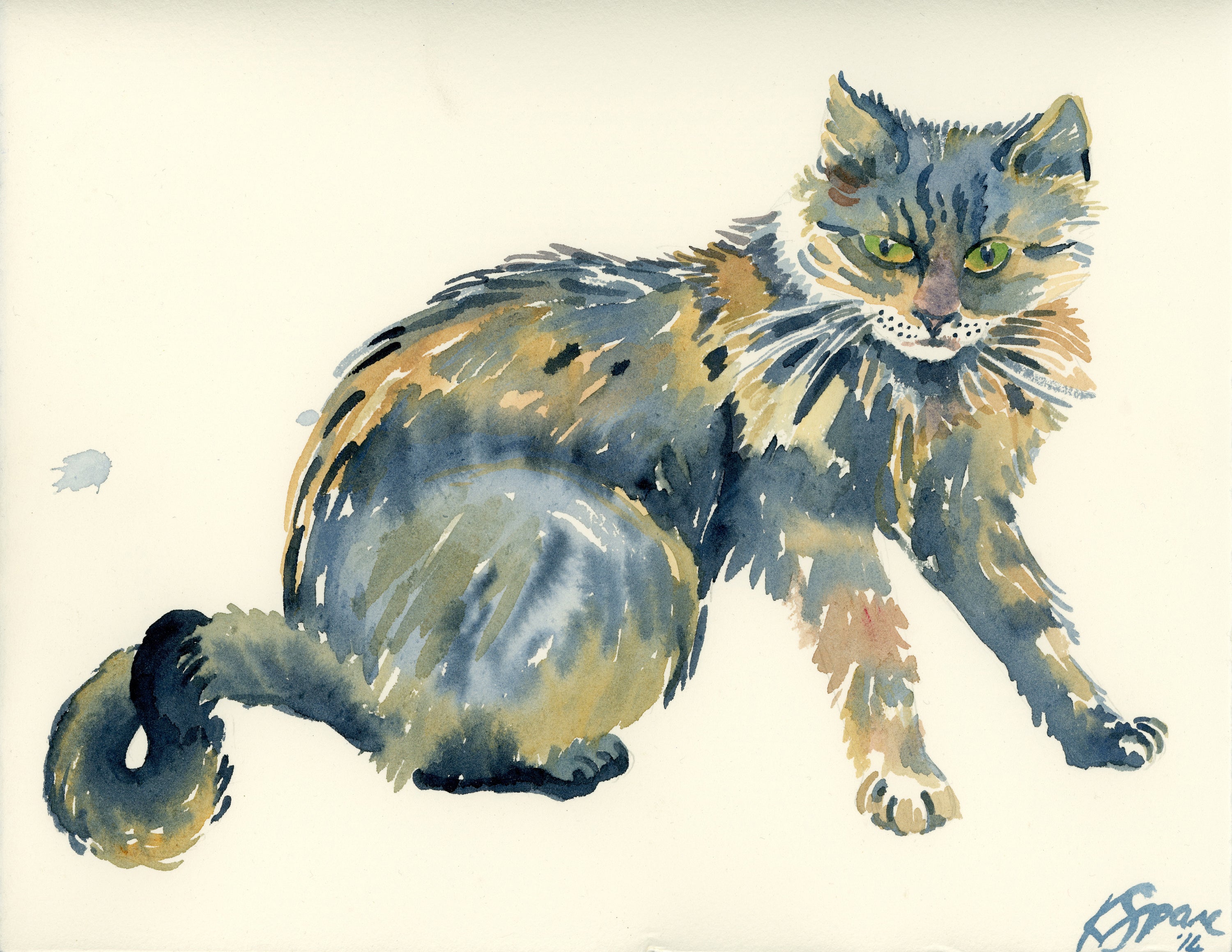 A Cat Called Tiger - Kay Spare