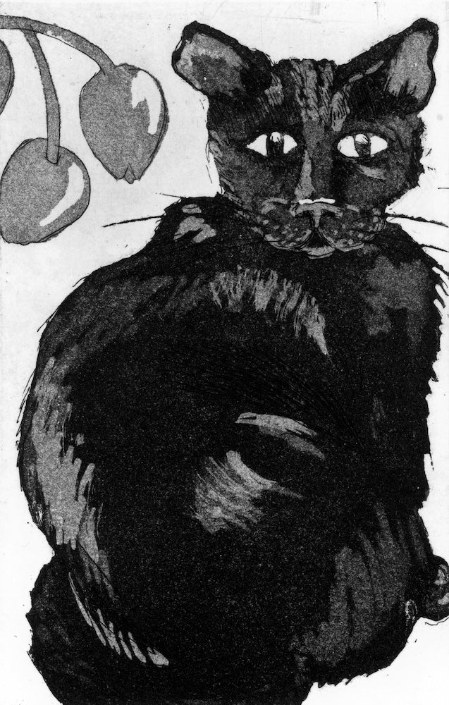Almond and the Tulips (print) - Kay Spare