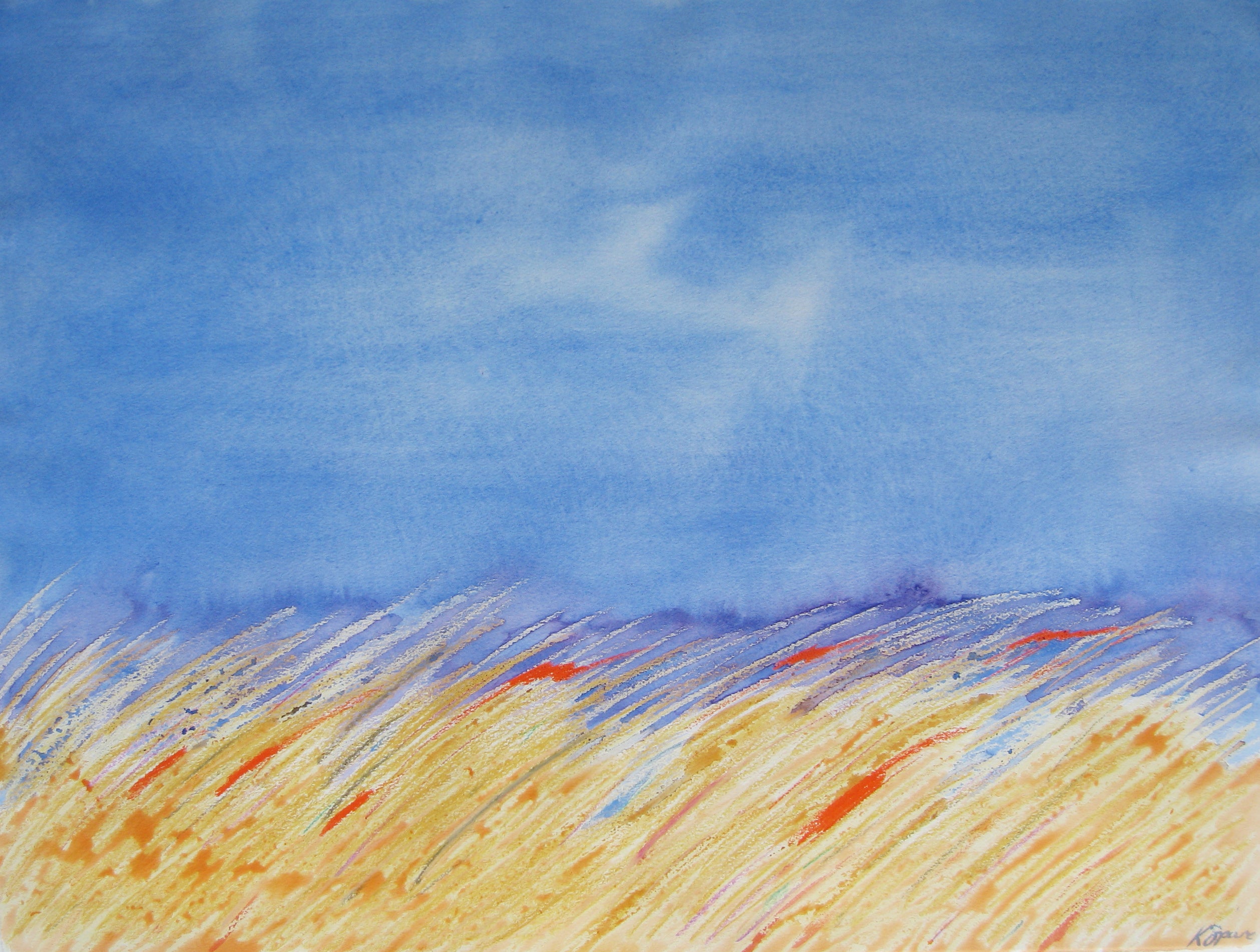 Camargue - Kay Spare