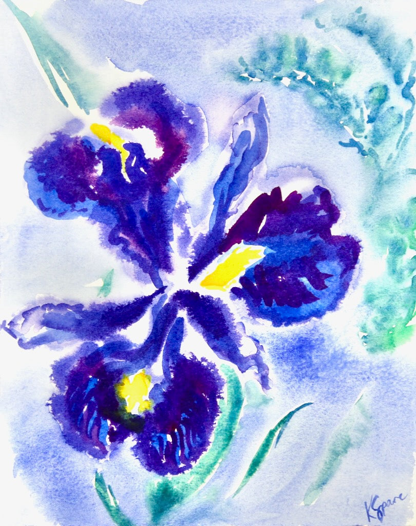 Iris, study