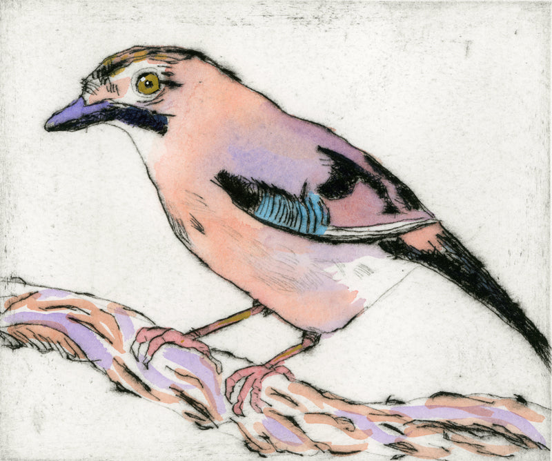 Jay on the Alert