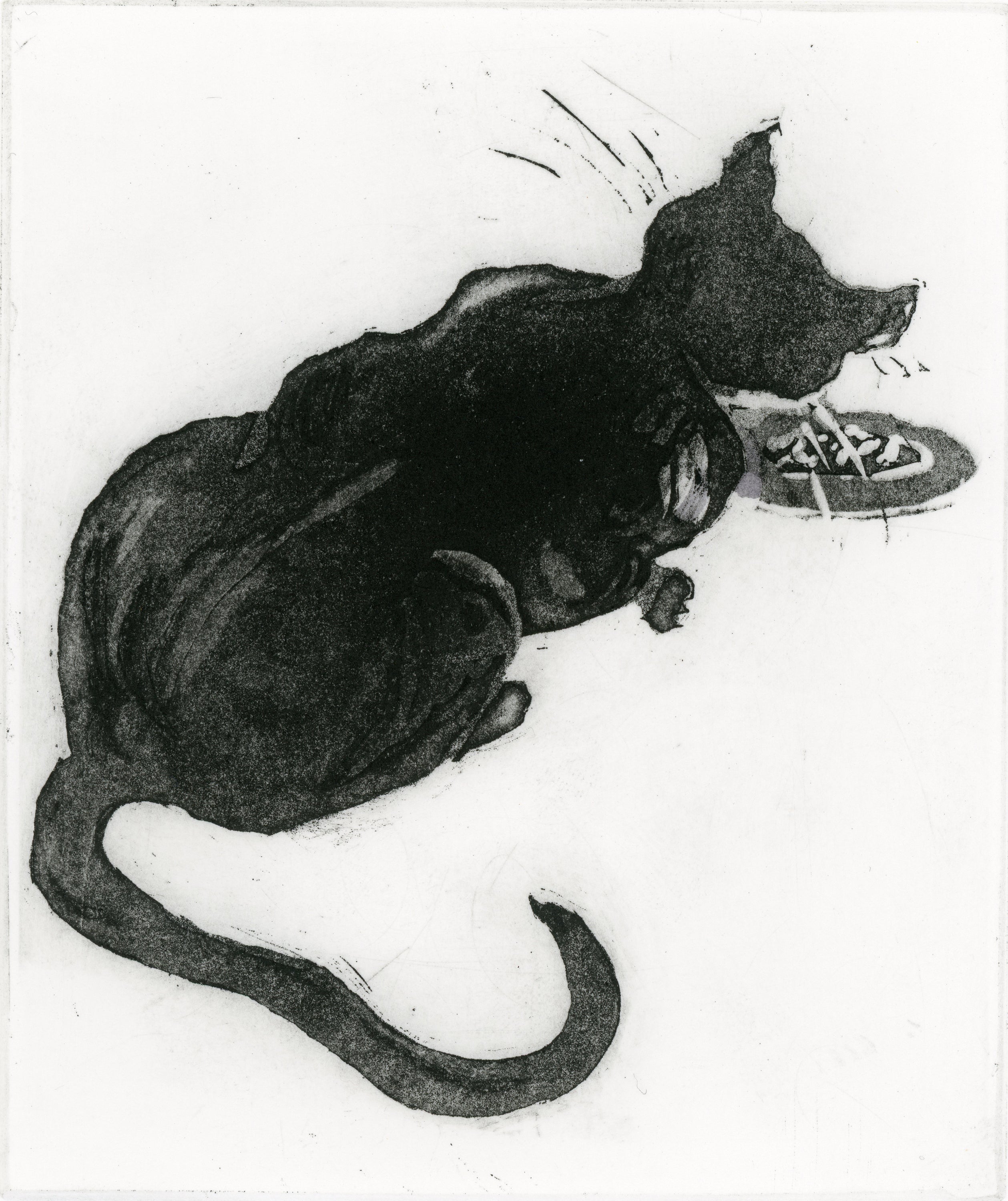 Purrfect - Kay Spare