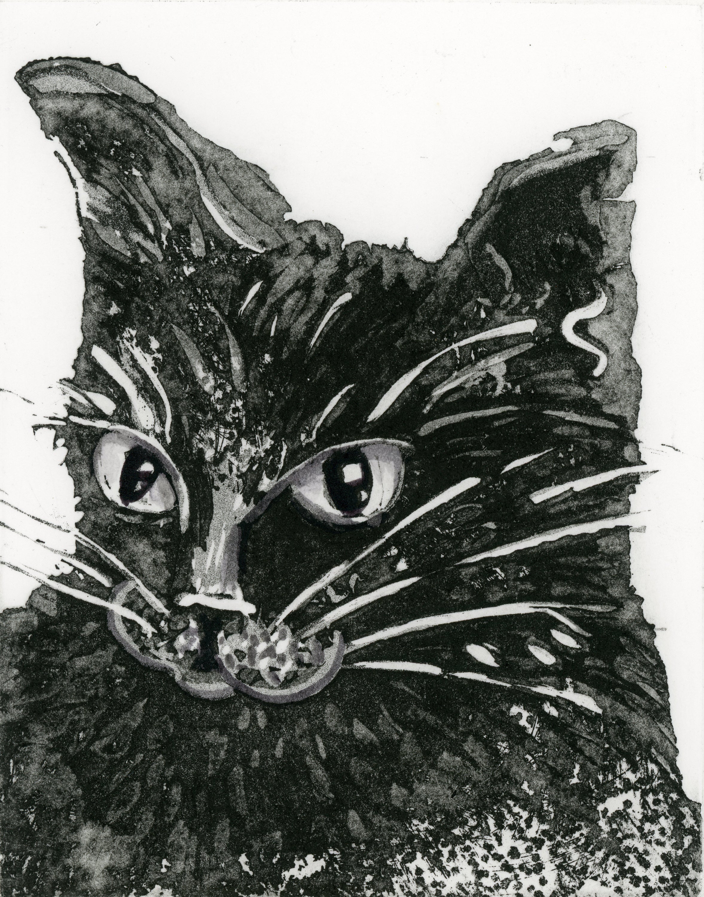 Top Cat - Kay Spare