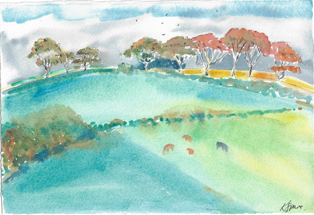 Newham Farm, Lostwithiel - Kay Spare