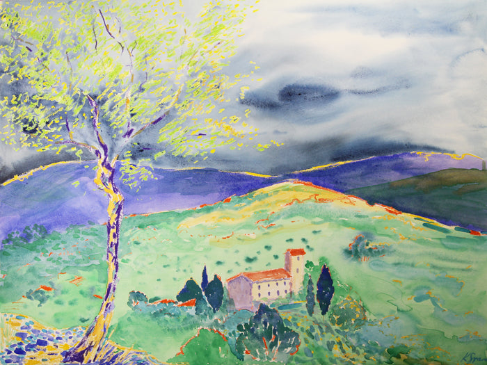 Olive Tree - Kay Spare