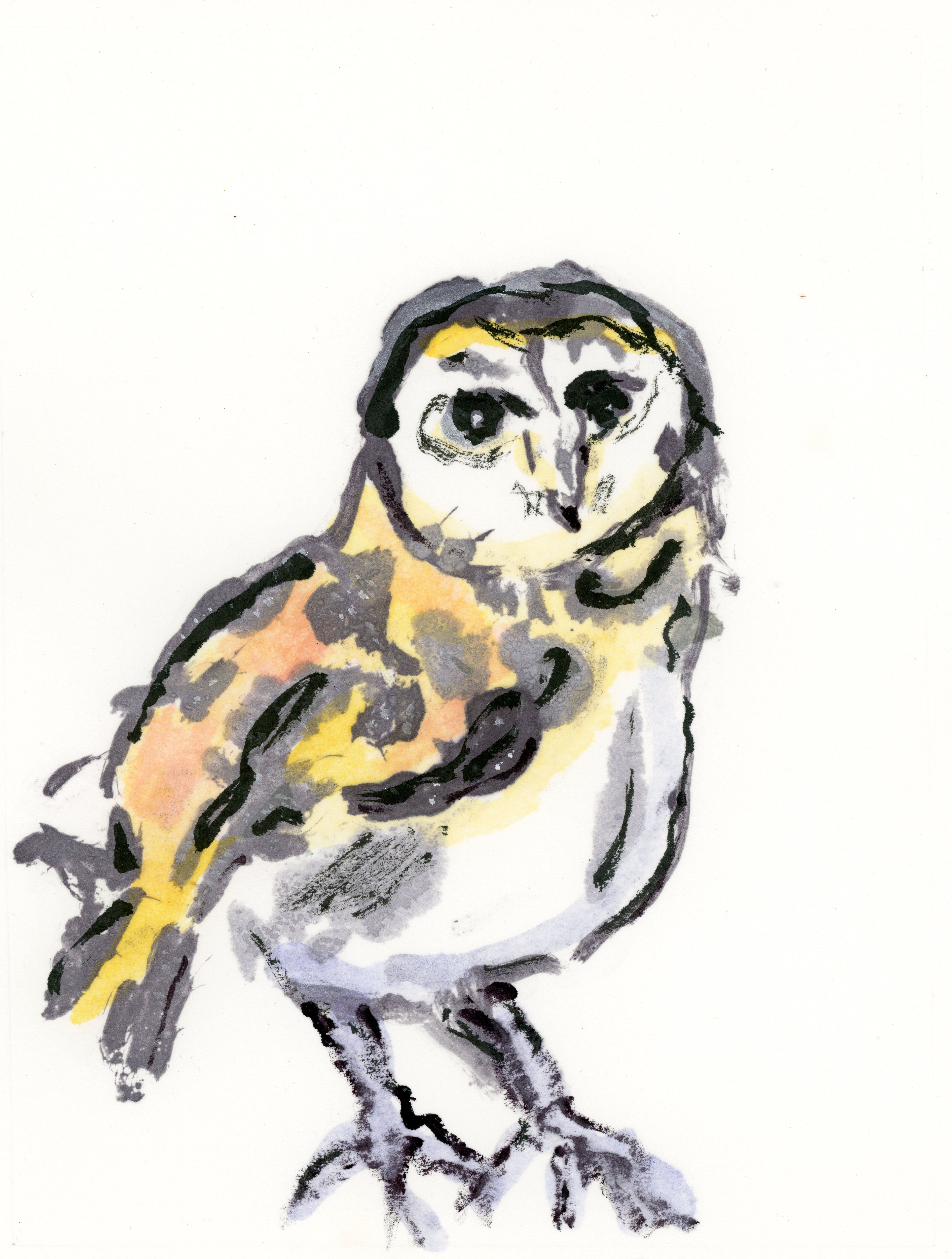 Owl I (Monoprint)