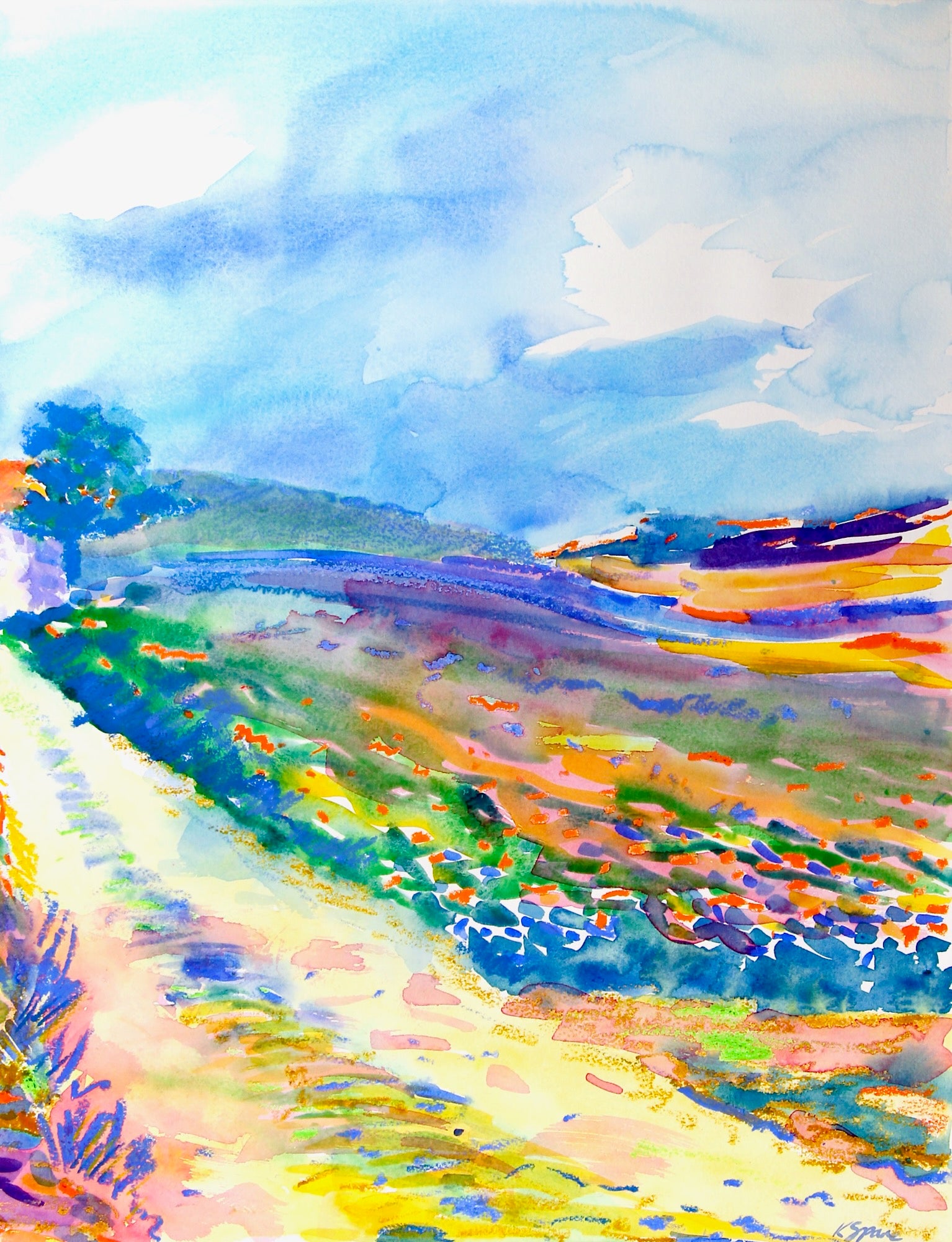 Path to the Farm, Tuscany - Kay Spare