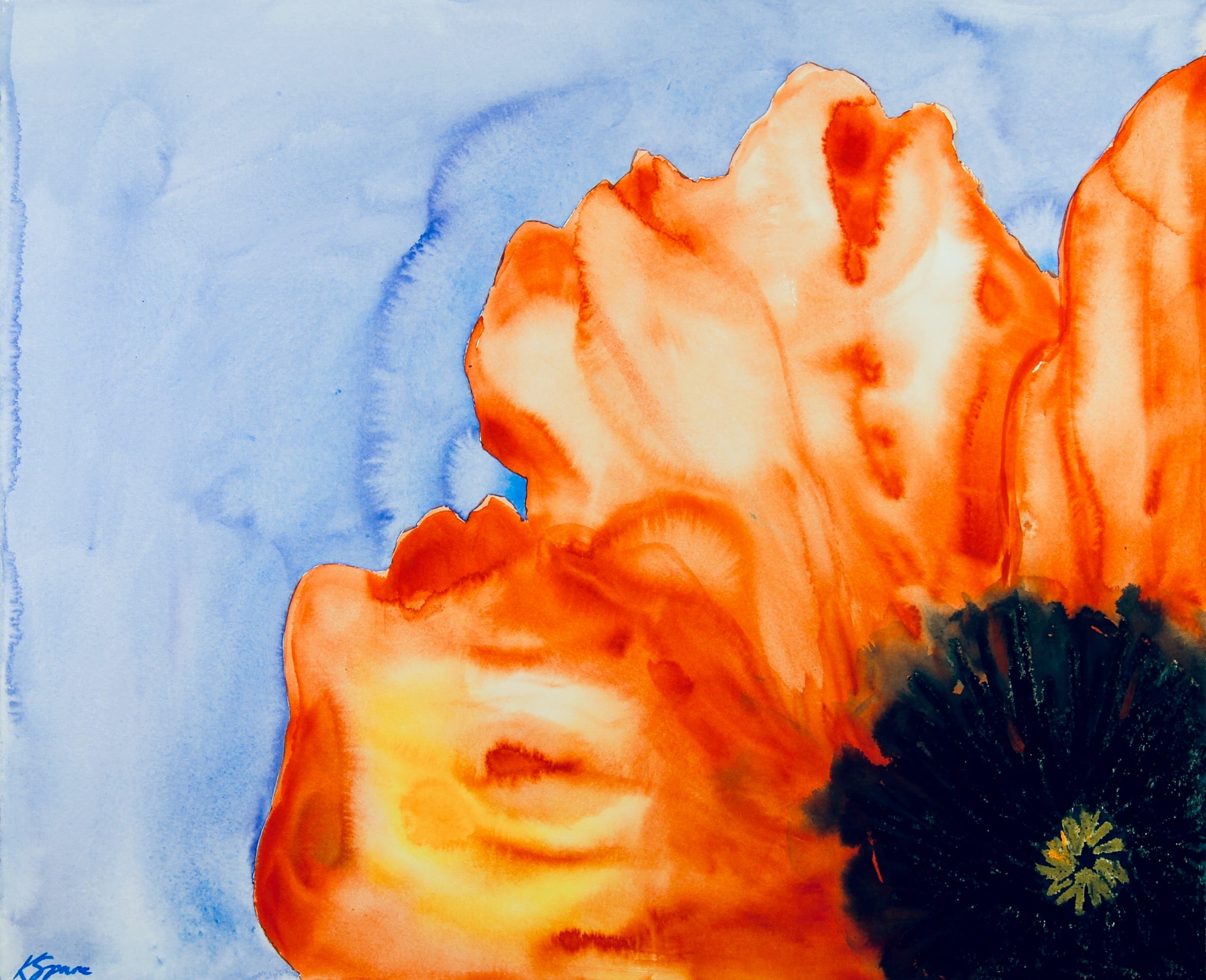 Poppy II - Kay Spare