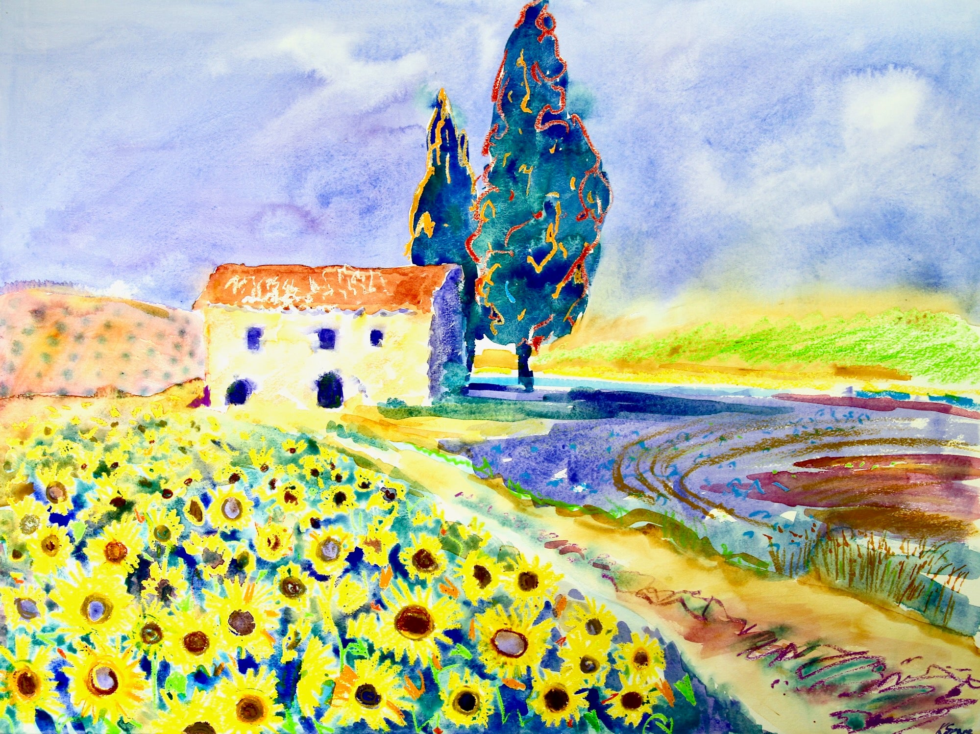 Sunflower Barn, Tuscany - Kay Spare