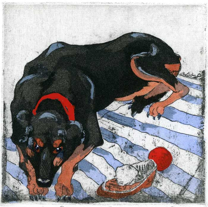 The Slipper Thief - Kay Spare