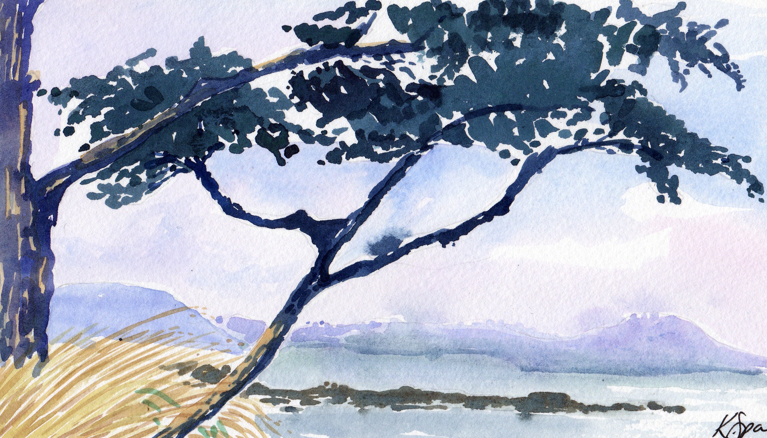 Sea Fret Lifting - Kay Spare