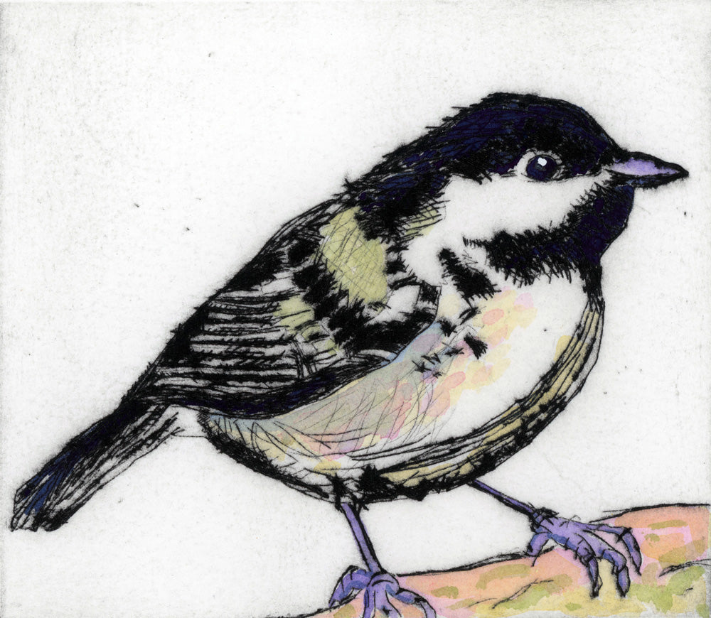 Coal Tit