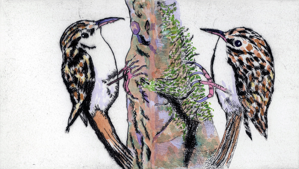 Confidences (Treecreepers)