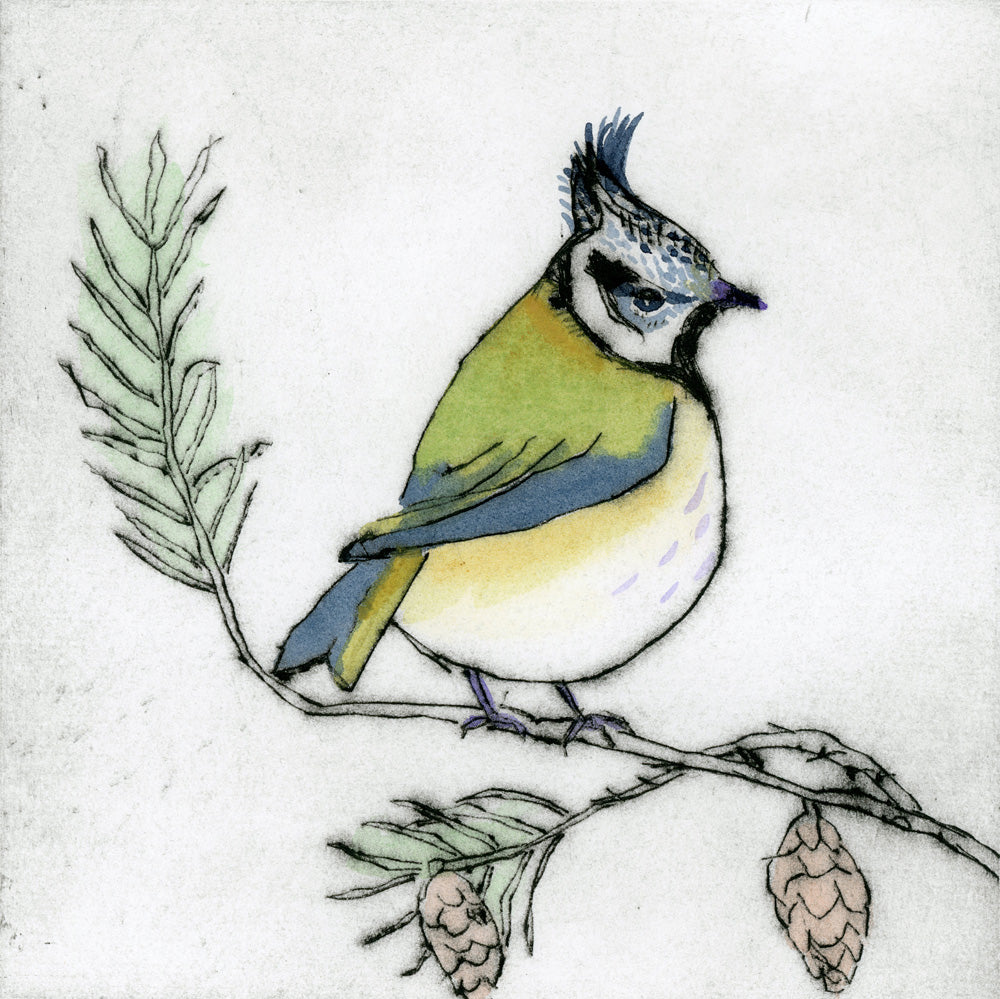 Crested (Tit)
