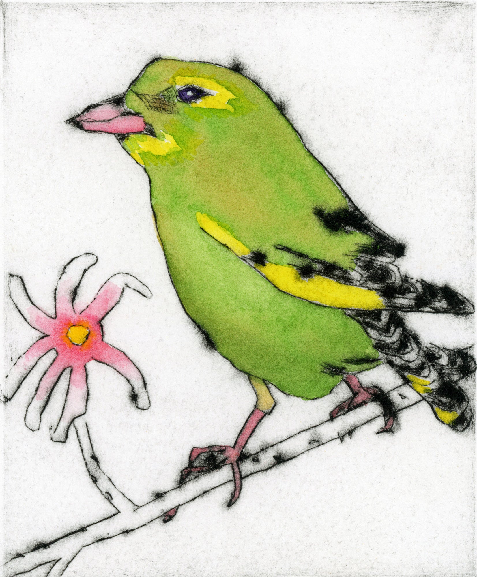 Greenfinch