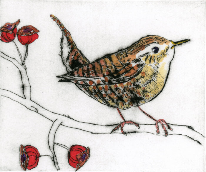 Jenny Wren