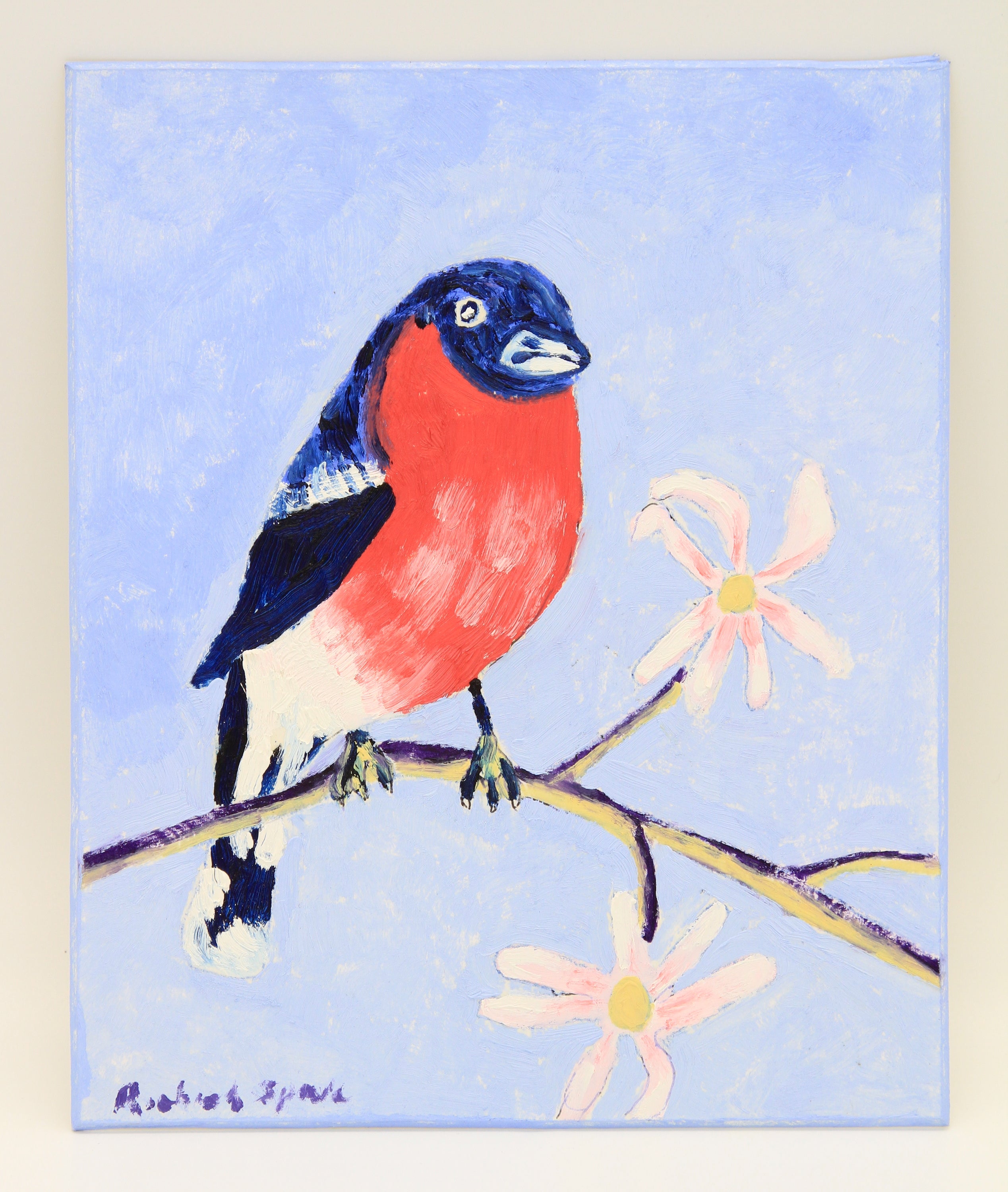 Bullfinch in the Magnolia Tree