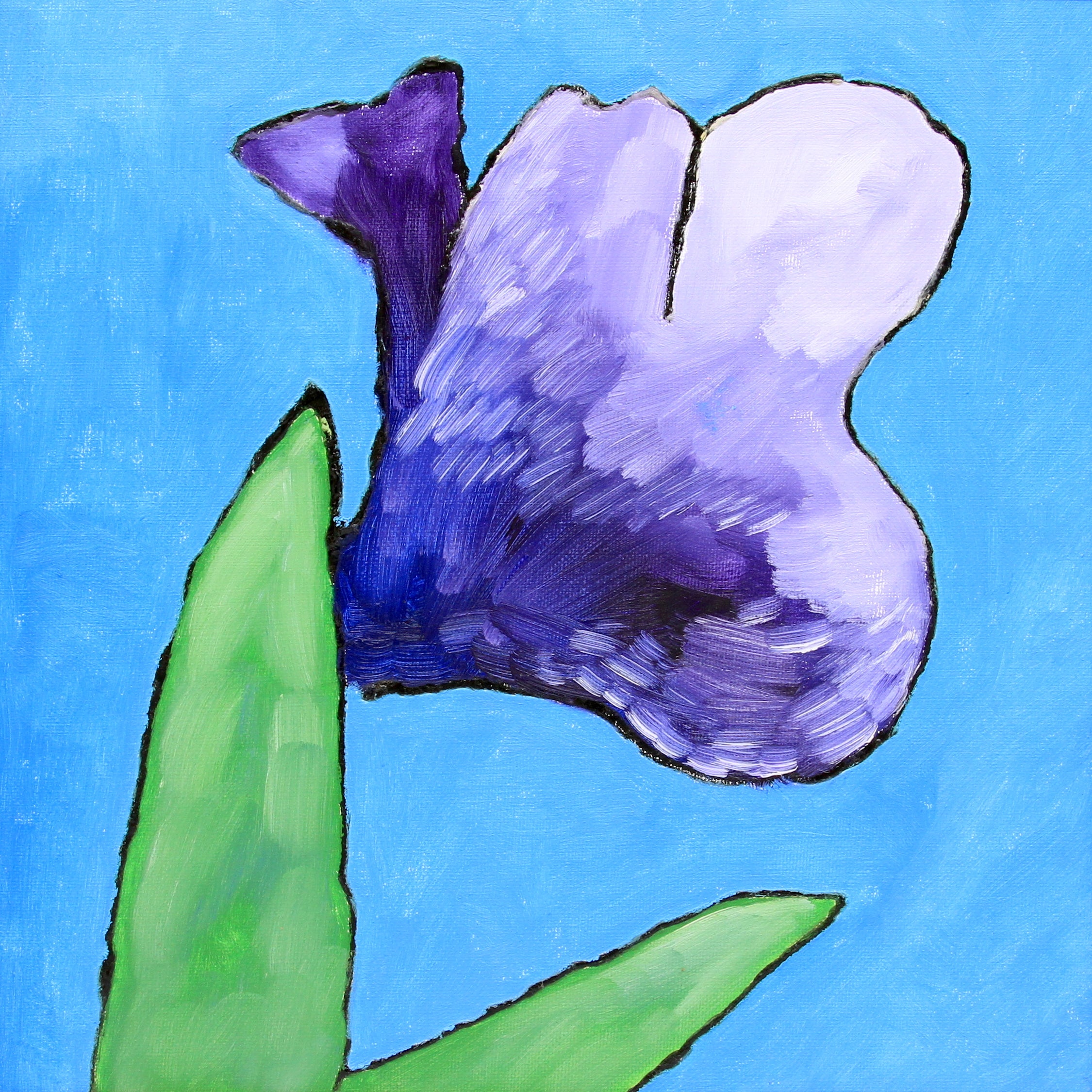 Small Flag Iris