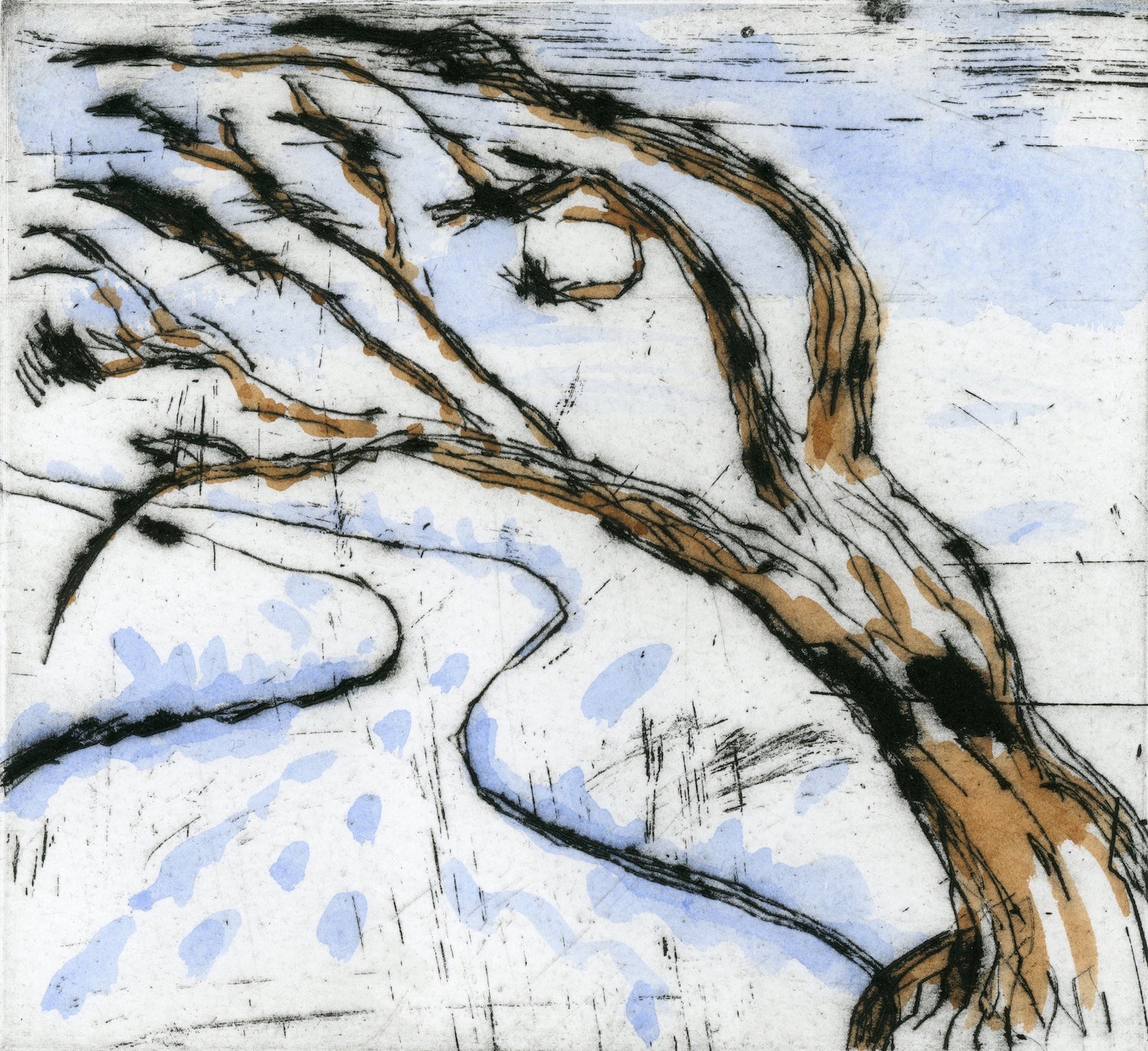 Lone Tree in Winter