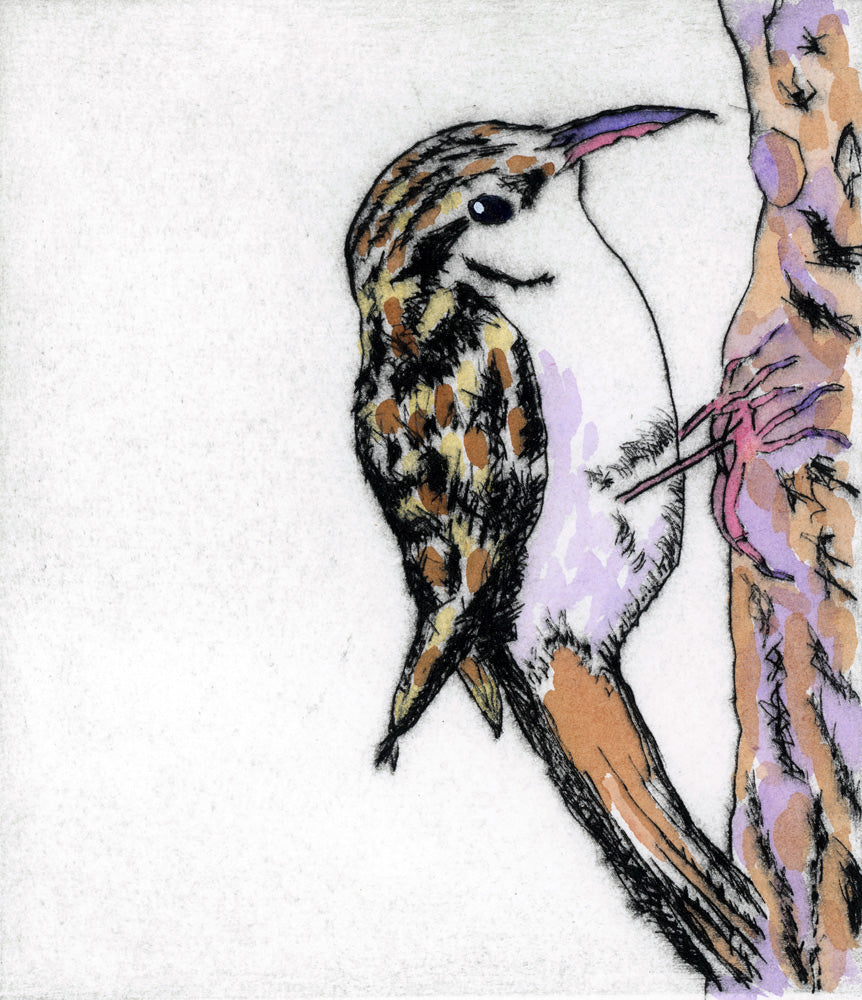 Treecreeper II