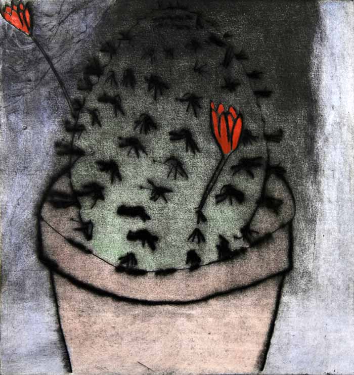 Cactus Flower - Limited Edition drypoint and watercolour fine art print by artist Richard Spare