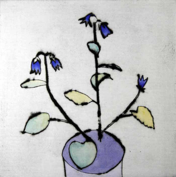 Campanula - Limited Edition drypoint and watercolour fine art print by artist Richard Spare