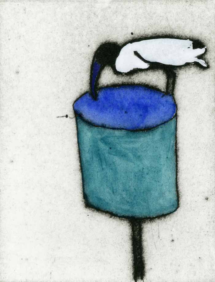Cheeky Ibis - Limited Edition drypoint and watercolour fine art print by artist Richard Spare