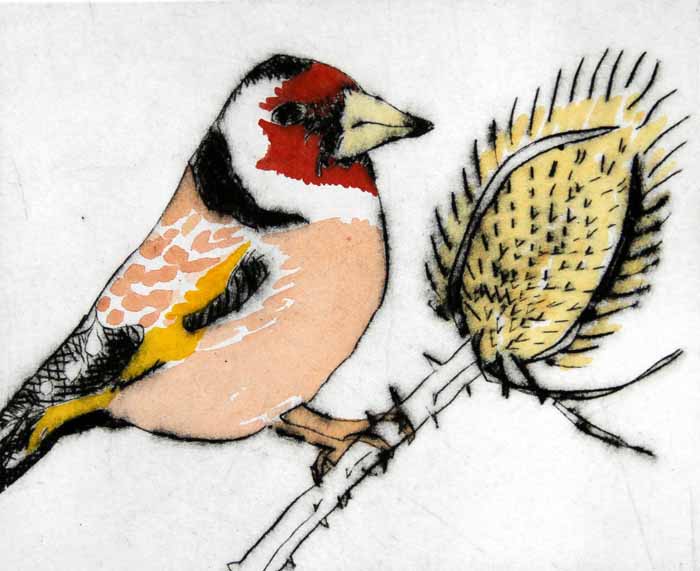 Goldfinch - Limited Edition drypoint and watercolour fine art print by artist Richard Spare