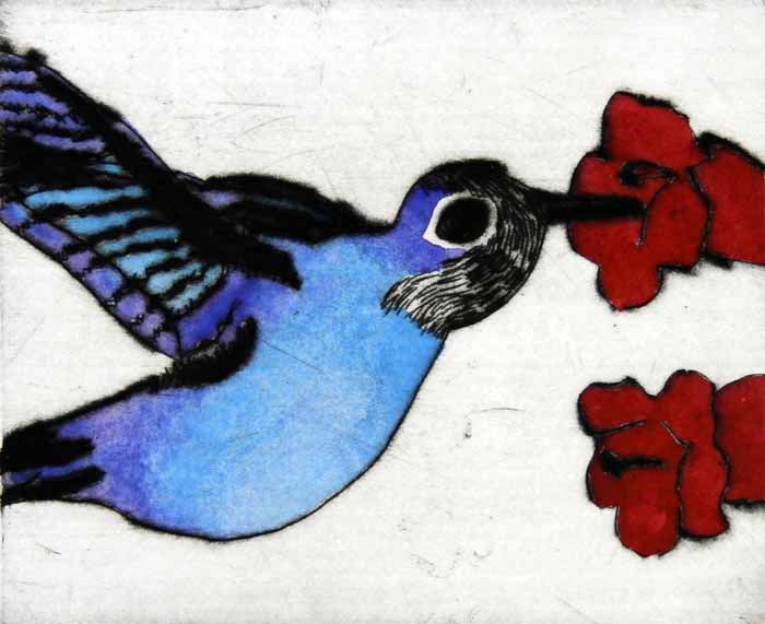 Humming Bird - Limited Edition drypoint and watercolour fine art print by artist Richard Spare