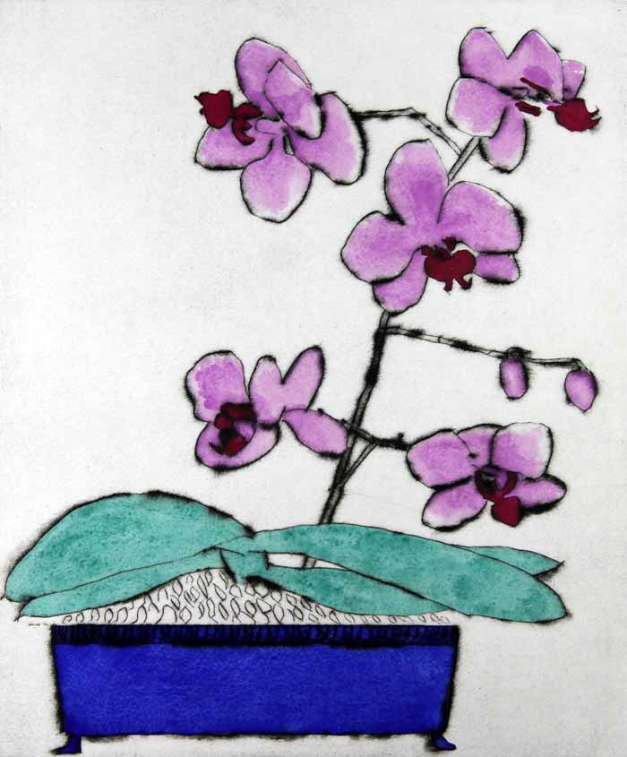 Japanese Orchid - Limited Edition drypoint and watercolour fine art print by artist Richard Spare