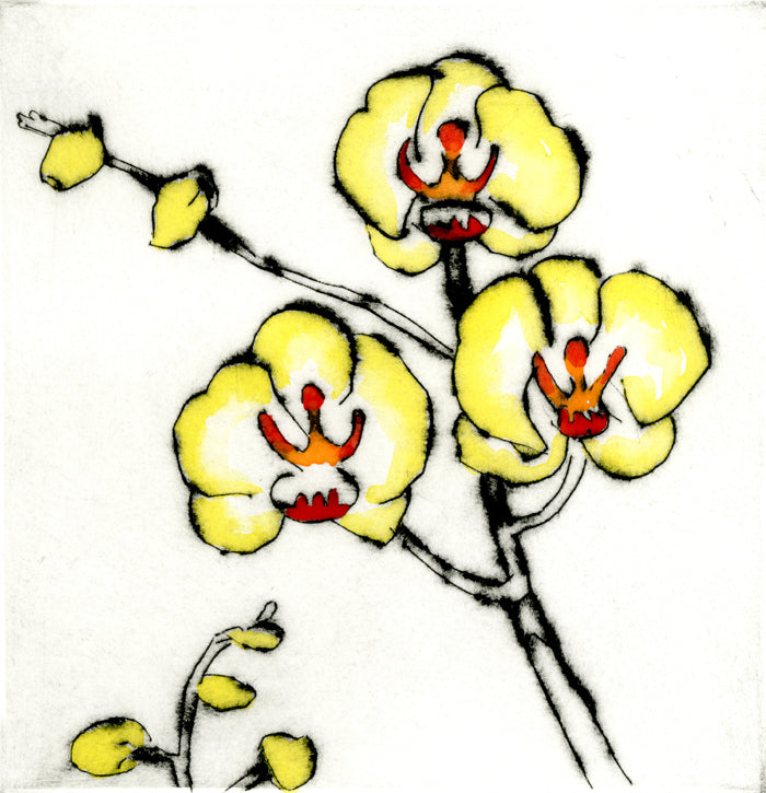 Lemon Orchid - Limited Edition drypoint and watercolour fine art print by artist Richard Spare