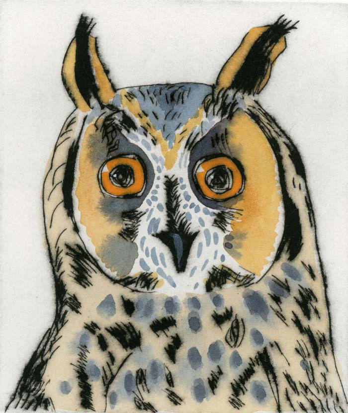 Long-Eared Owl - Limited Edition drypoint and watercolour fine art print by artist Richard Spare