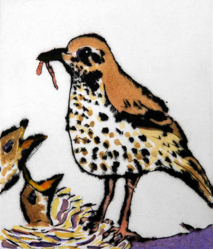 Nest - Limited Edition drypoint and watercolour fine art print by artist Richard Spare