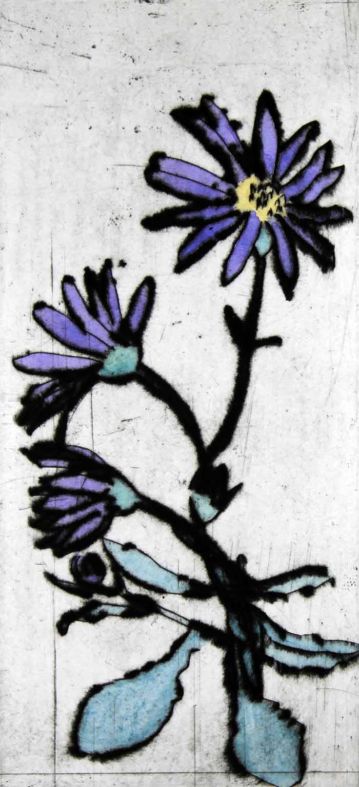 Osteospermums - Limited Edition drypoint and watercolour fine art print by artist Richard Spare