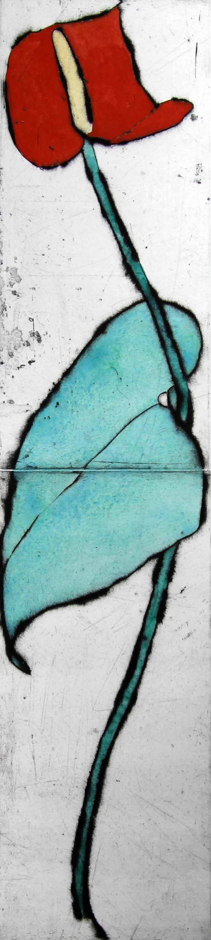 Red Antherium - Limited Edition drypoint and watercolour fine art print by artist Richard Spare