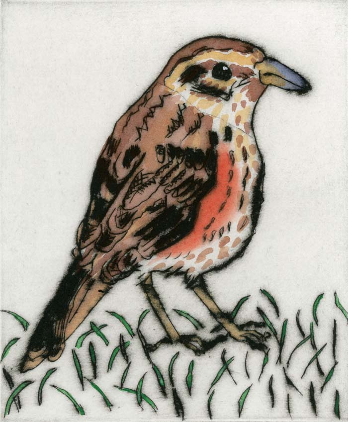Redwing - Limited Edition drypoint and watercolour fine art print by artist Richard Spare