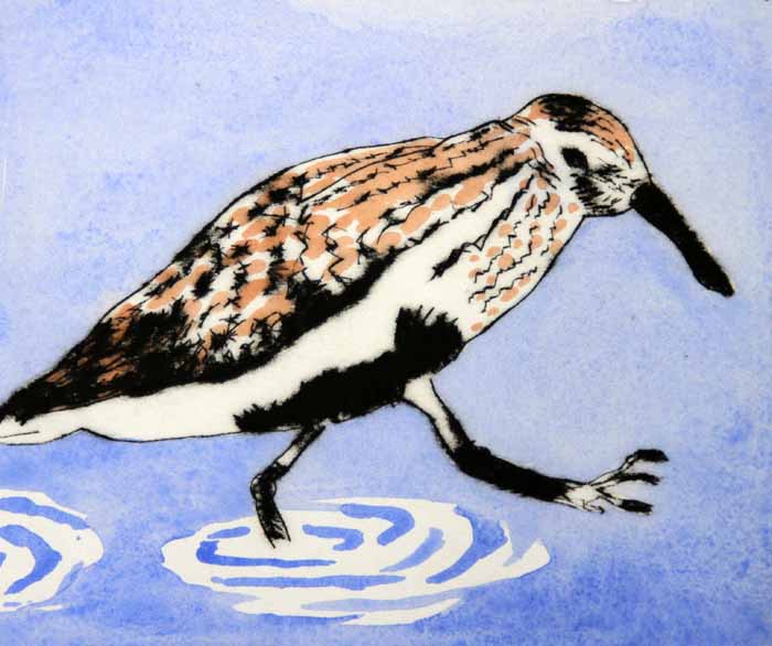 Splish Splash - Limited Edition drypoint and watercolour fine art print by artist Richard Spare