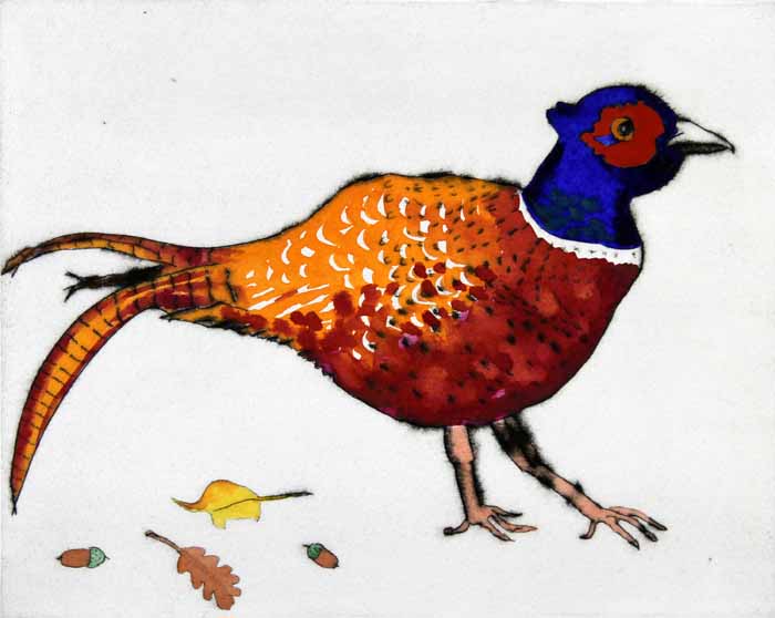 Strolling Pheasant - Limited Edition drypoint and watercolour fine art print by artist Richard Spare