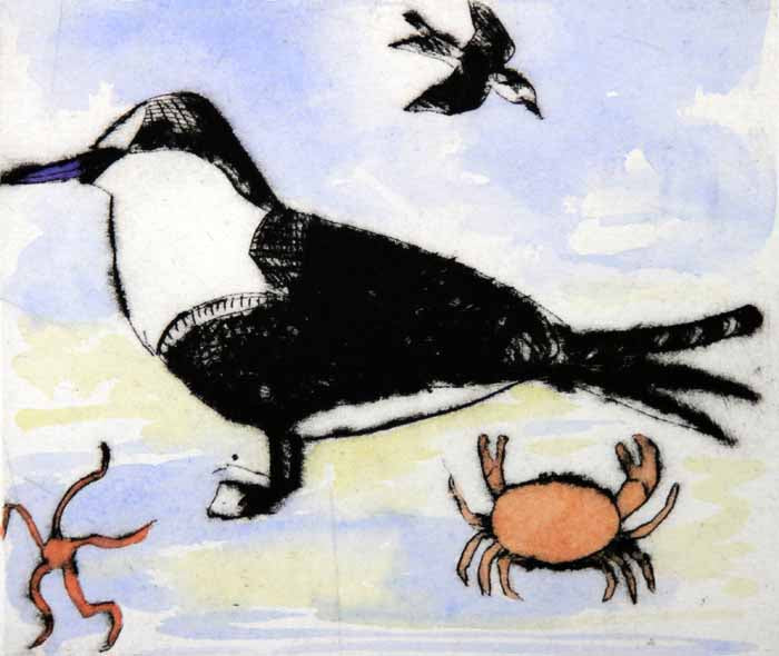 Tern - Limited Edition drypoint and watercolour fine art print by artist Richard Spare