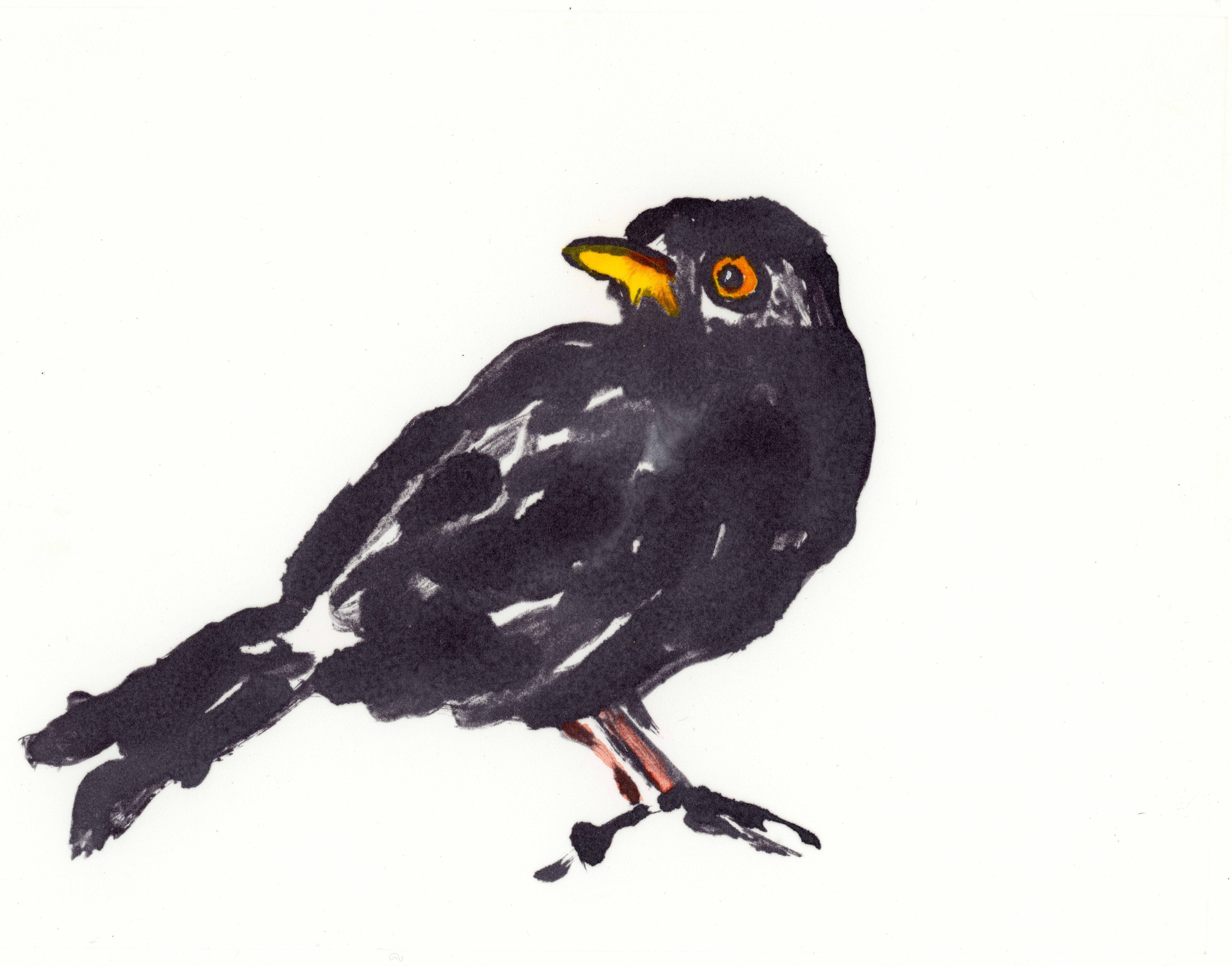 Blackbird I