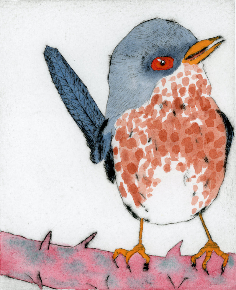 Dartford Warbler