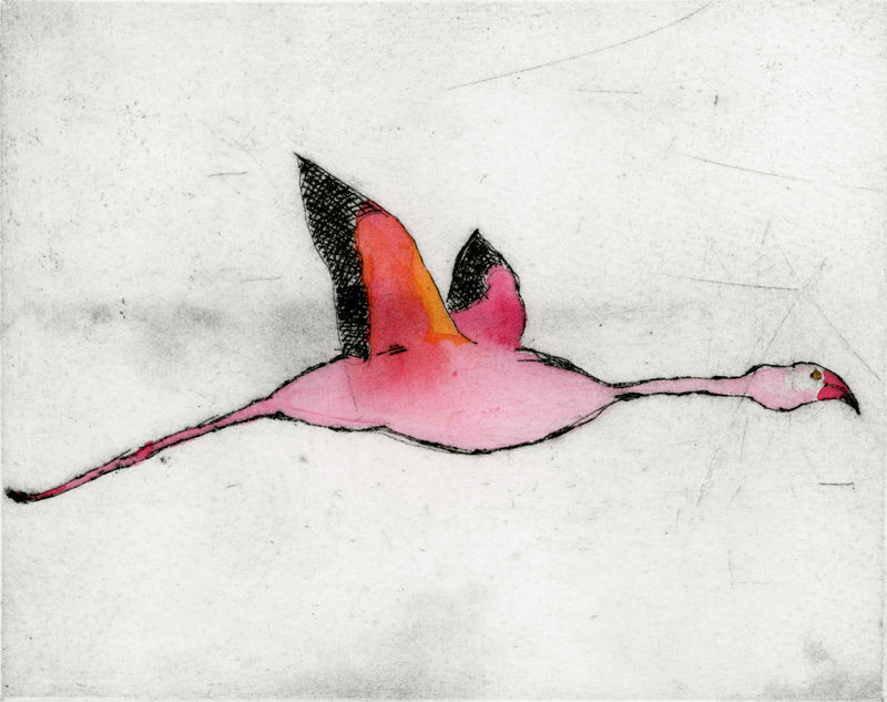 Flying Flamingo