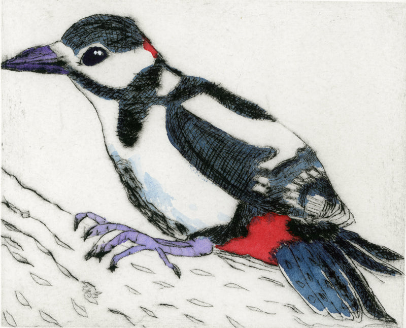 Lesser Spotted Woodpecker