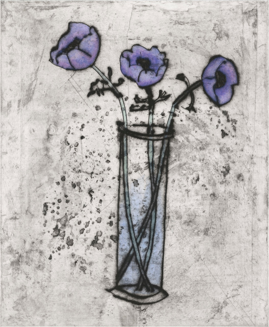 Anemones - Limited Edition drypoint and watercolour fine art print by artist Richard Spare