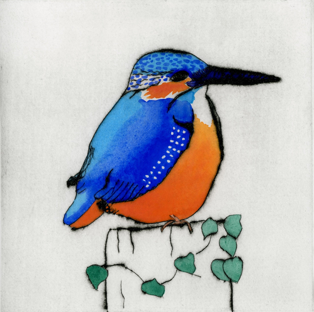 Perching Kingfisher - Limited Edition drypoint and watercolour fine art print by artist Richard Spare