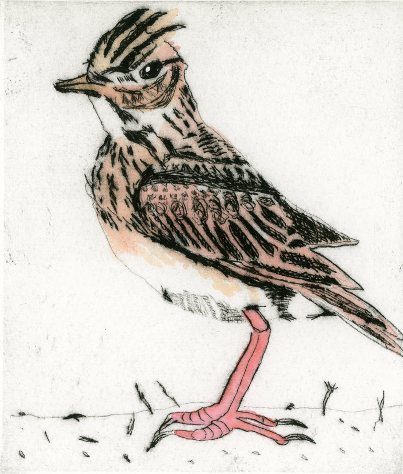Skylark