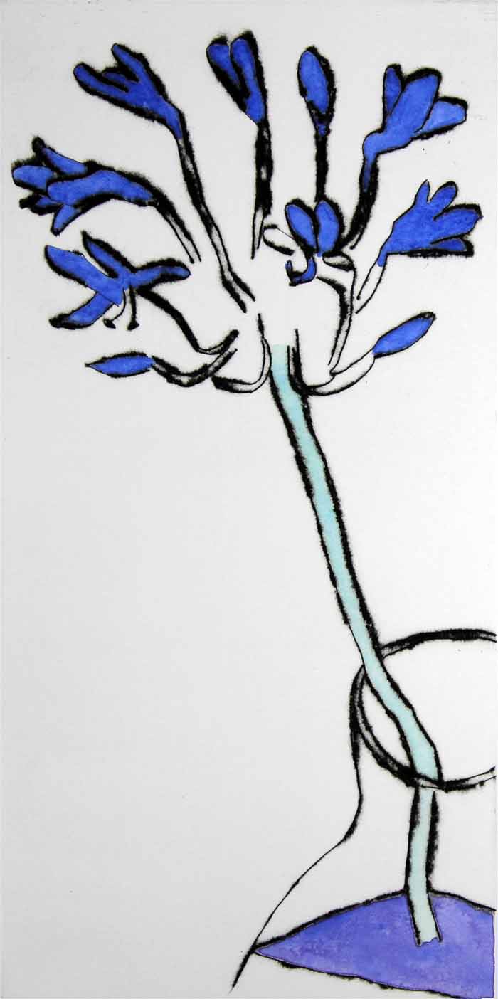Agapanthus - Limited Edition drypoint and watercolour fine art print by artist Richard Spare