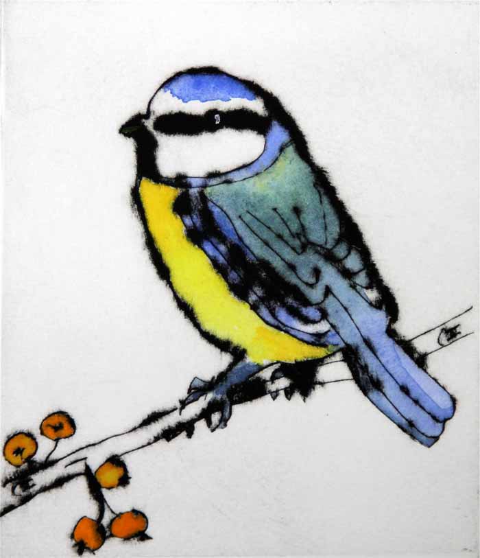 Autumn Blue Tit - Limited Edition drypoint and watercolour fine art print by artist Richard Spare