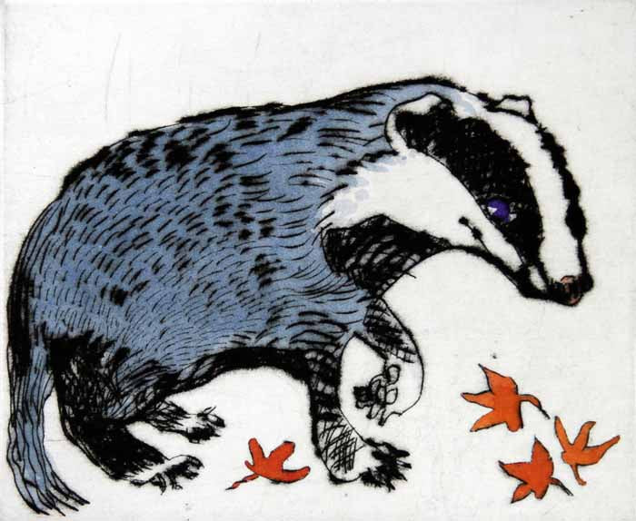Badger Cub - Limited Edition drypoint and watercolour fine art print by artist Richard Spare