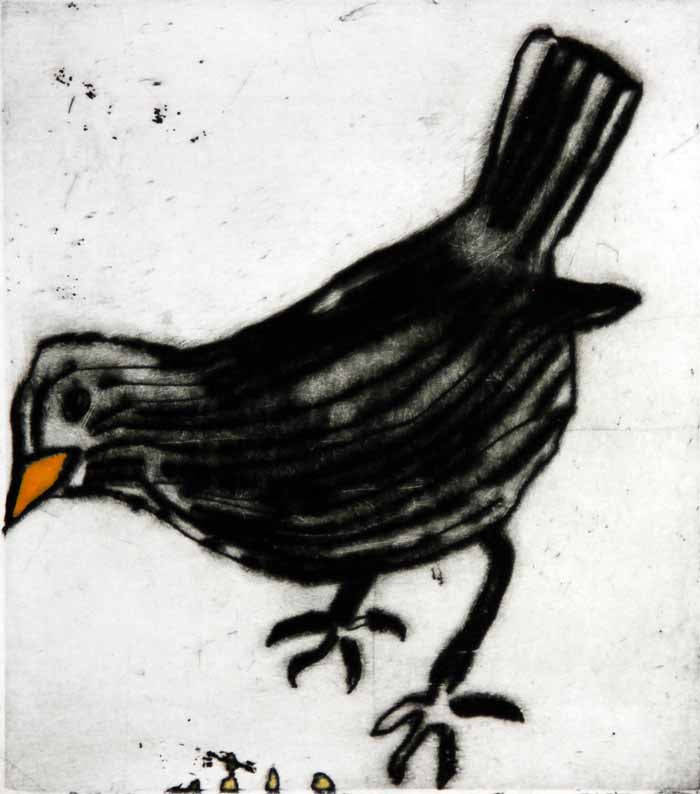 Blackbird - Limited Edition drypoint and watercolour fine art print by artist Richard Spare